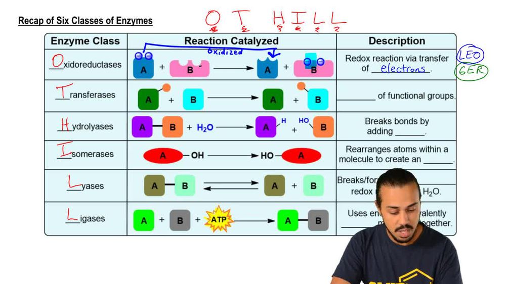 Types of Enzymes
