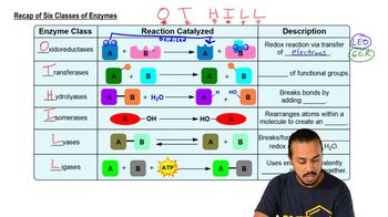 Types of Enzymes