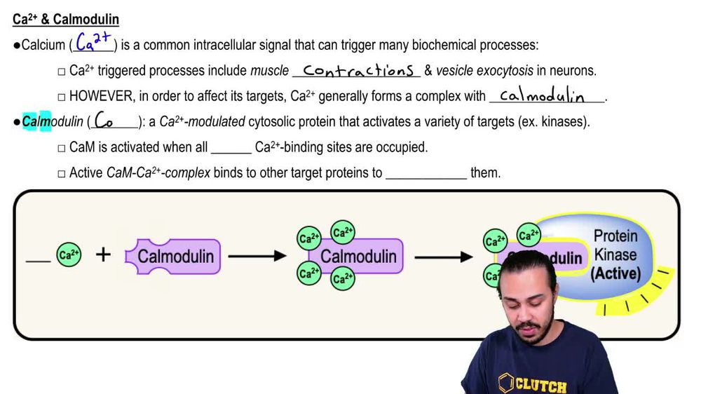 PSP Secondary Messengers & PKC