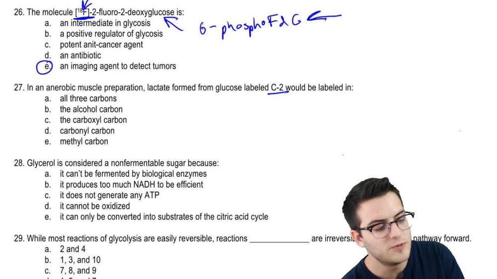 Practice - Glycolysis 2