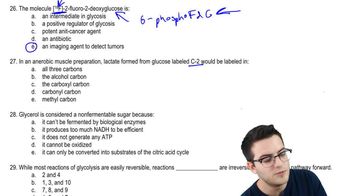 Practice - Glycolysis 2