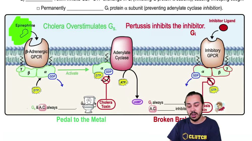 Drugs & Toxins Affecting GPCR Signaling