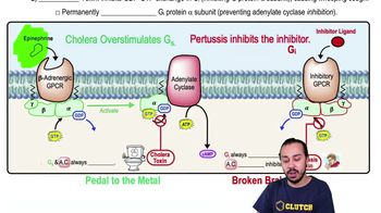 Drugs & Toxins Affecting GPCR Signaling