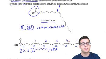 Lipids 1
