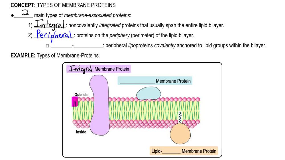 Types of Membrane Proteins