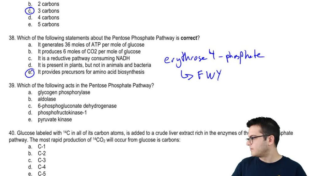 Practice - Pentose Phosphate Path