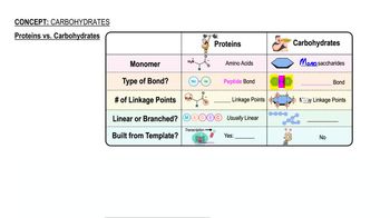 Carbohydrates