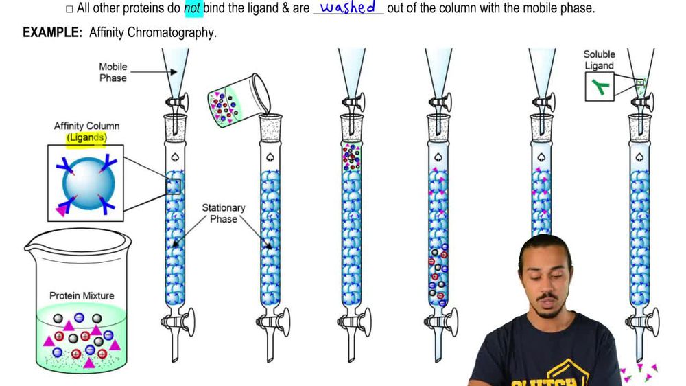 Affinity Chromatography