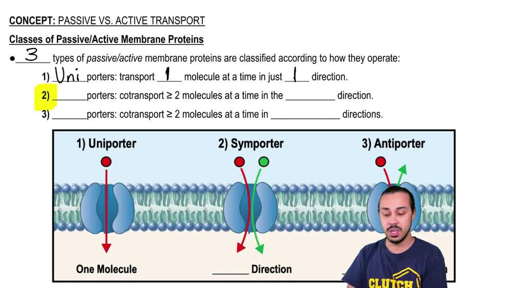 Passive vs. Active Transport