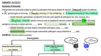 Antibody