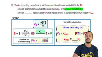 Calculating Vmax