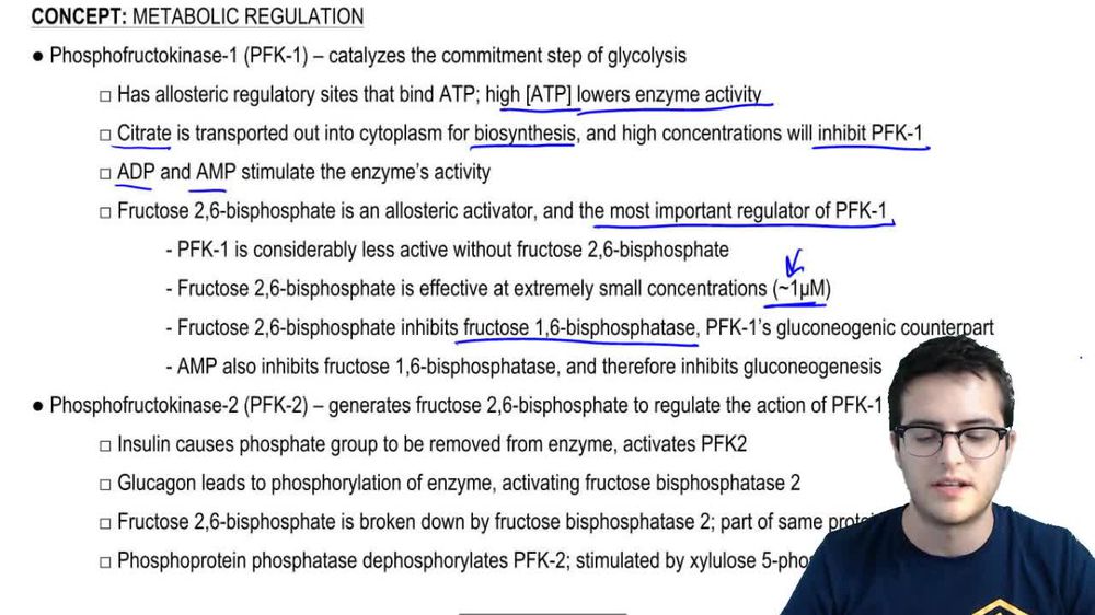 Metabolic Regulation 2
