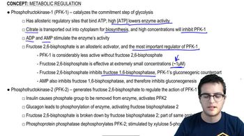 Metabolic Regulation 2