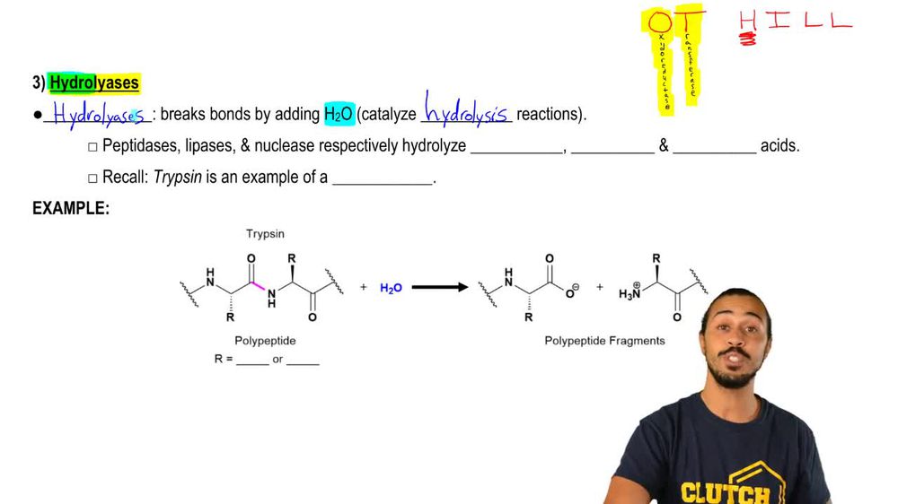 Types of Enzymes