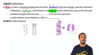 Alpha Helix