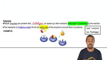 Enzymes
