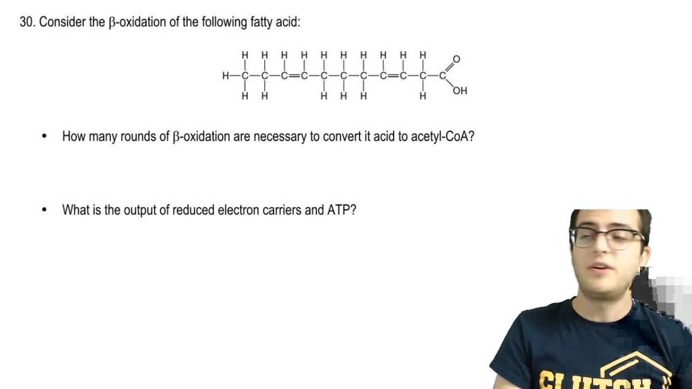 Fatty Acid Oxidation Practice 2