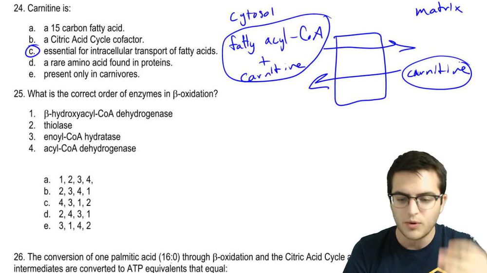 Fatty Acid Oxidation Practice 1