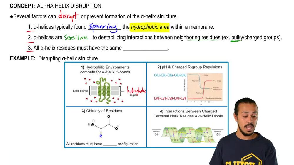 Alpha Helix Disruption