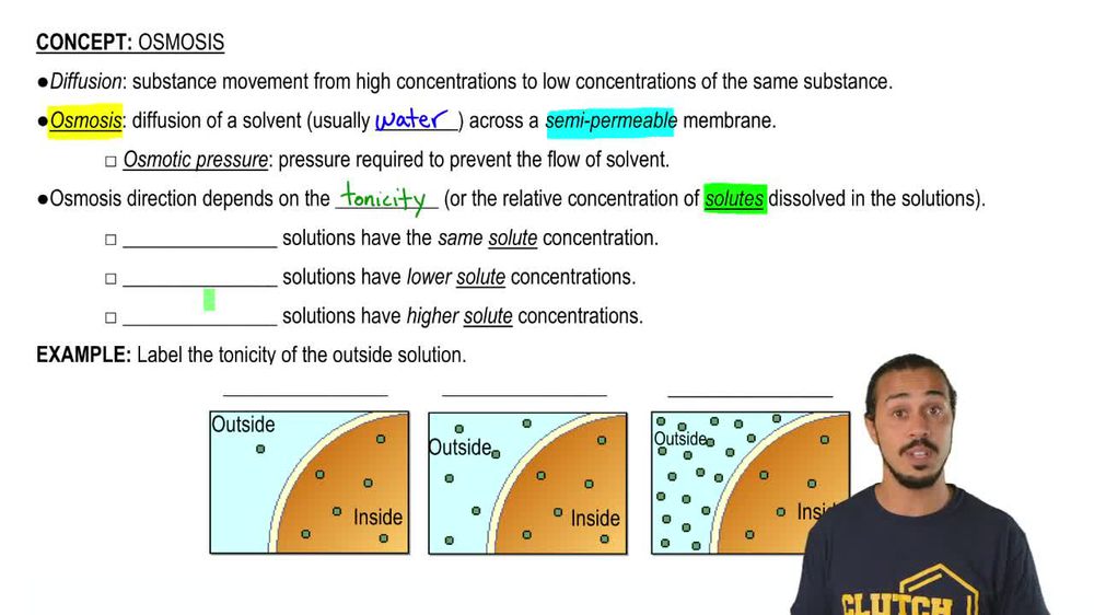 Osmosis and Tonicity