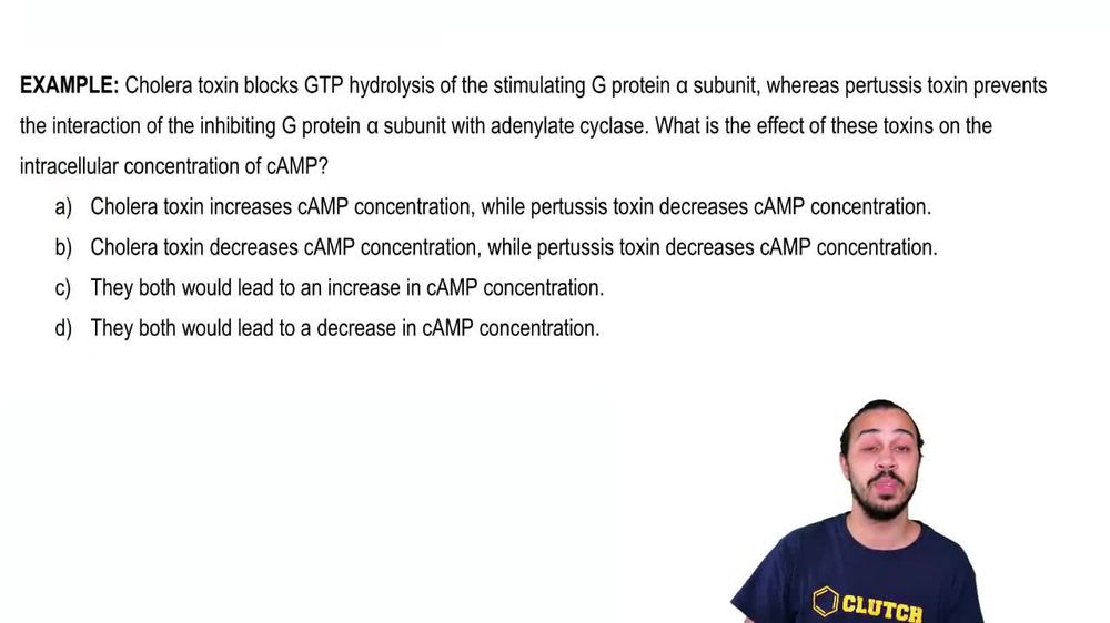 Drugs & Toxins Affecting GPCR Signaling Example 1