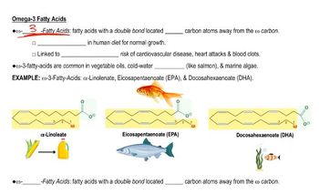 Omega-3 Fatty Acids