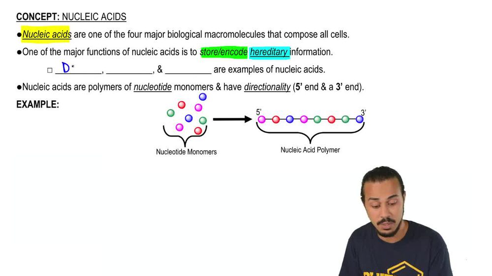 Nucleic Acids