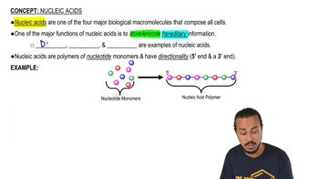 Nucleic Acids