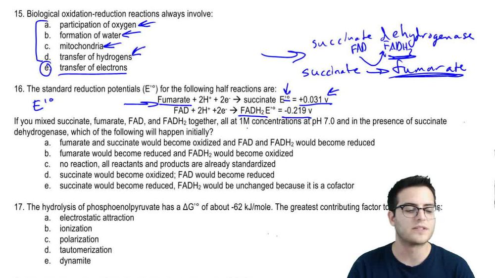 Practice - Bioenergetics 2