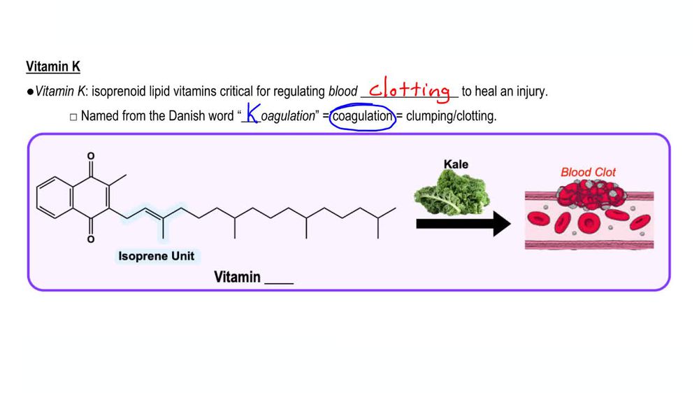 Lipid Vitamins