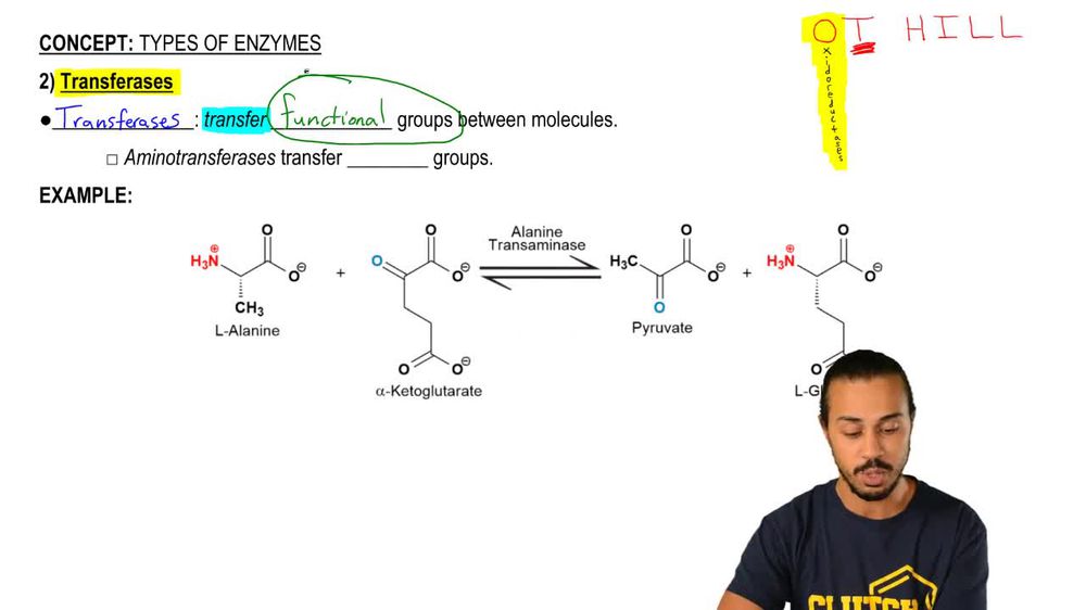 Types of Enzymes