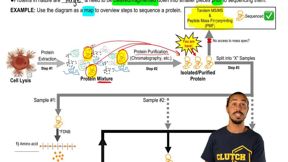 Overview Of Direct Protein Sequencing