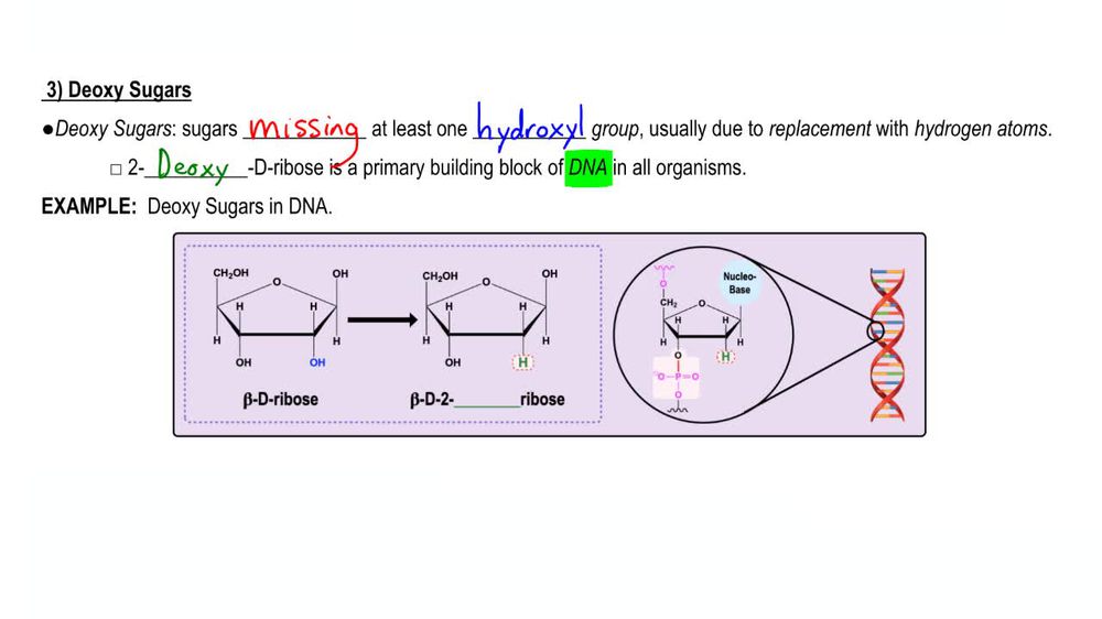 Derivatives of Monosaccharides 