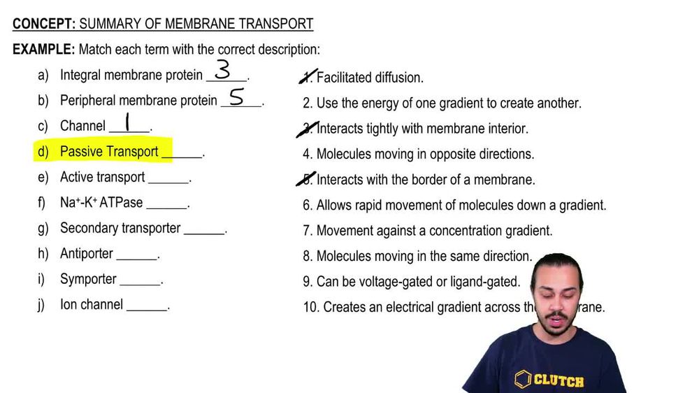 Summary of Membrane Transport Example 1
