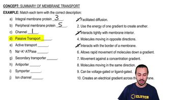 Summary of Membrane Transport Example 1