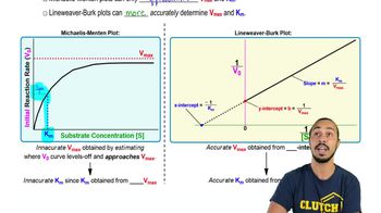 Michaelis-Menten vs. Lineweaver-Burk Plots