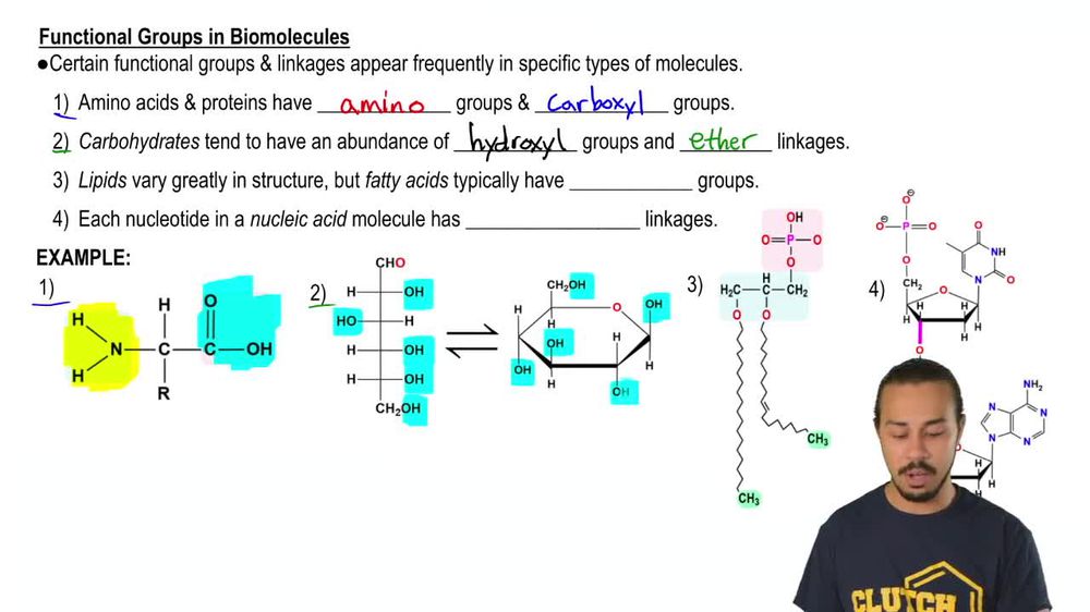 Functional Groups in Biomolecules