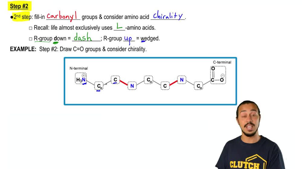 Drawing a Peptide