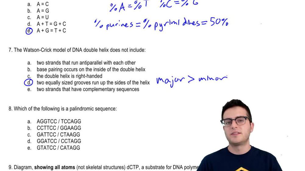 Practice - Nucleic Acids 2