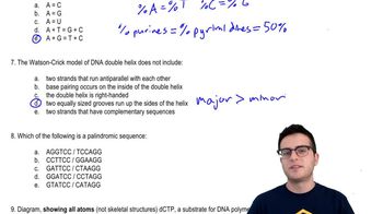 Practice - Nucleic Acids 2