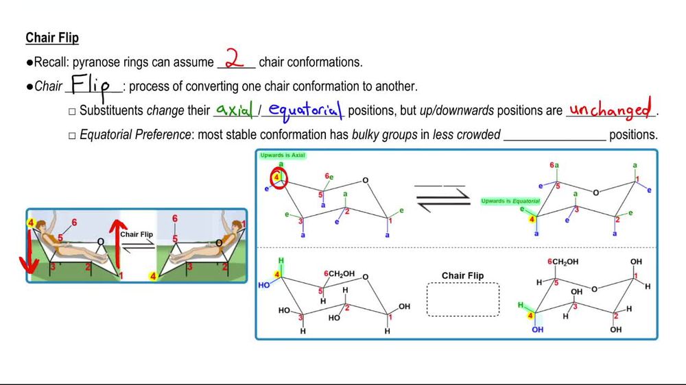 Pyranose Conformations