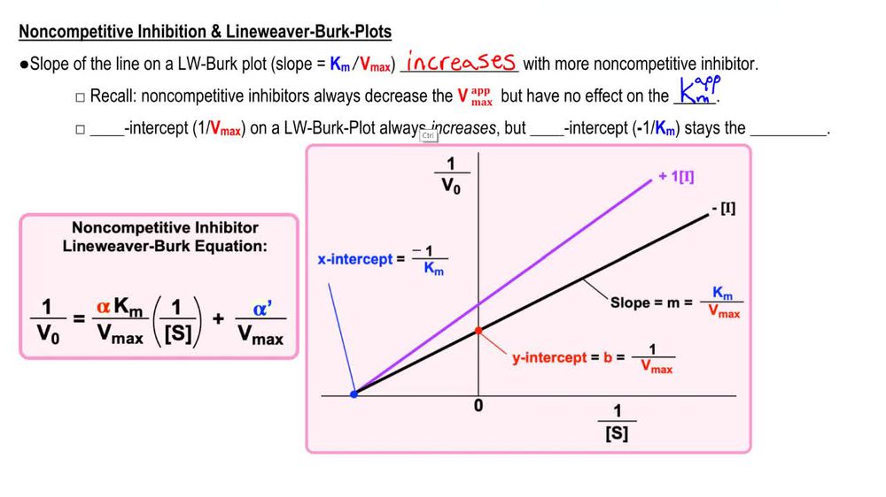 Noncompetitive Inhibition & Lineweaver-Burk Plots