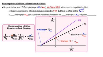 Noncompetitive Inhibition & Lineweaver-Burk Plots