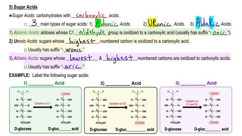 Derivatives of Monosaccharides 