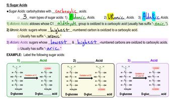 Derivatives of Monosaccharides 