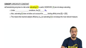 Specificity Constant