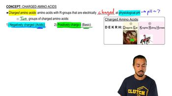 Charged Amino Acids