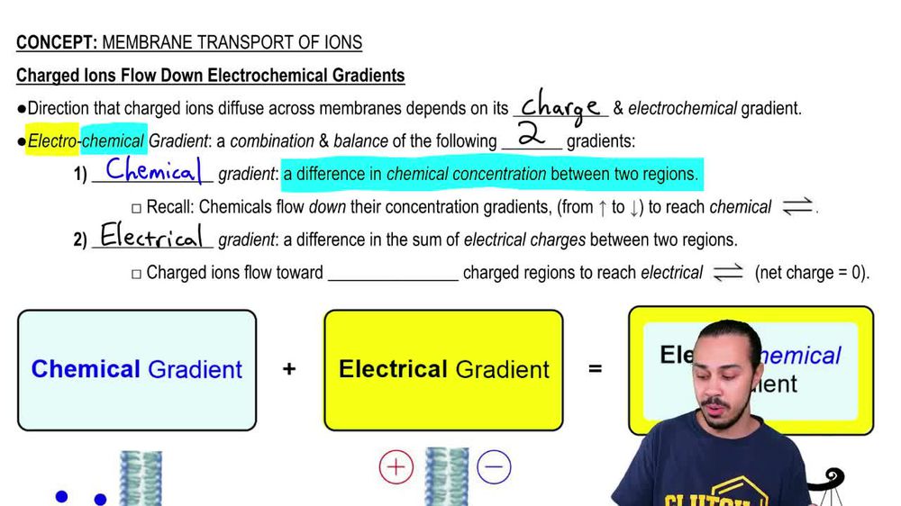 Membrane Transport of Ions