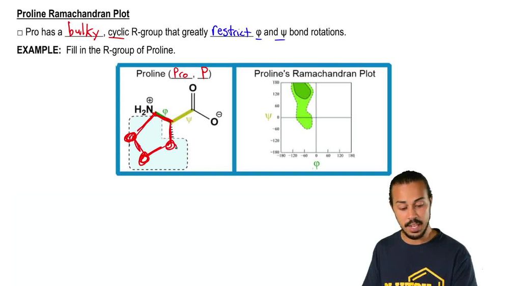 Atypical Ramachandran Plots