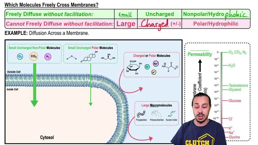 Biological Membrane Transport